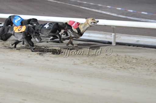dogs29aug_0121.jpg