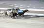 dogs29aug_0047