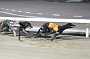dogs29aug_0059