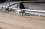 dogs29aug_0065