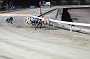 dogs29aug_0071