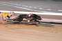 dogs29aug_0074