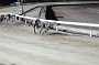 dogs29aug_0111
