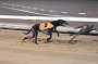 dogs29aug_0114