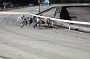 dogs29aug_0133