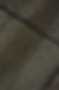 dogs29aug_0146