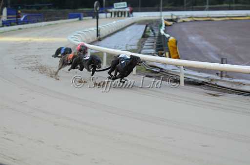 dogs30aug_0017.jpg