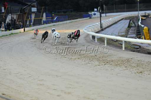 dogs30aug_0050.jpg