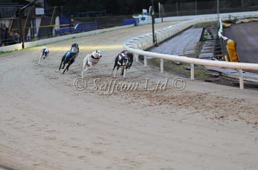 dogs30aug_0051.jpg