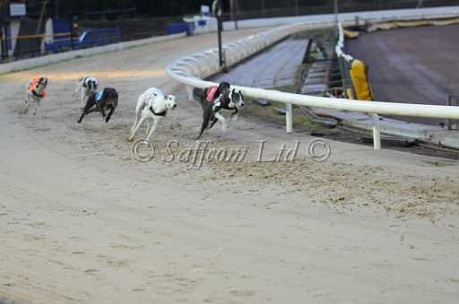 dogs30aug_0052.jpg
