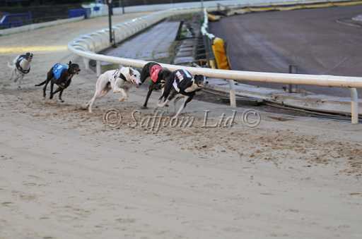 dogs30aug_0053.jpg