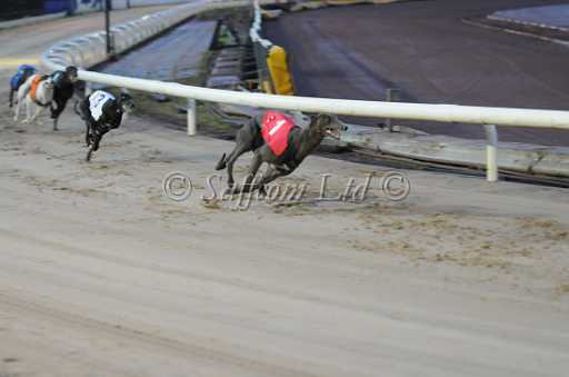 dogs30aug_0067.jpg