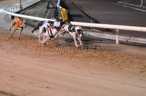 dogs30aug_0122.jpg