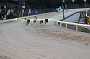 dogs30aug_0049
