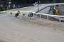 dogs30aug_0051