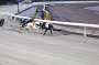 dogs30aug_0061