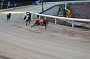 dogs30aug_0066