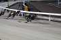 dogs30aug_0088