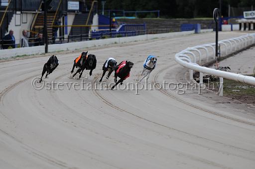 dogsaug2_0001.jpg - (C)S.FARNDON