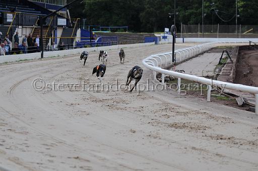 dogsaug2_0016.jpg - (C)S.FARNDON
