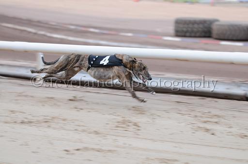 dogsaug2_0021.jpg - (C)S.FARNDON