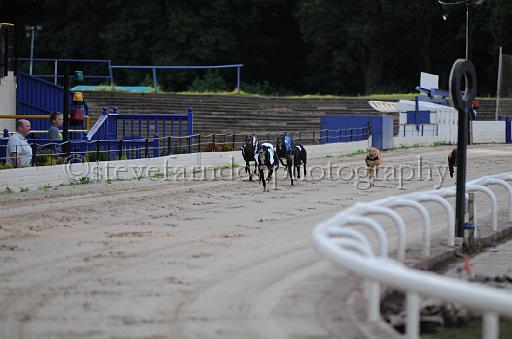 dogsaug2_0032.jpg - (C)S.FARNDON