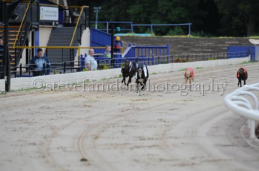 dogsaug2_0033.jpg - (C)S.FARNDON
