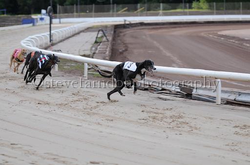 dogsaug2_0036.jpg - (C)S.FARNDON