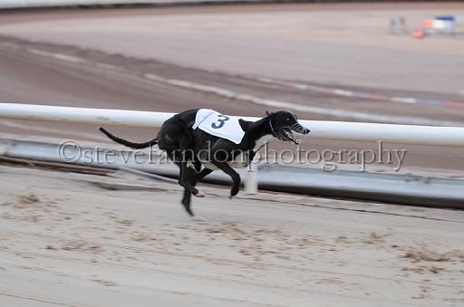 dogsaug2_0038.jpg - (C)S.FARNDON