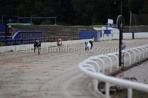 dogsaug2_0045.jpg - (C)S.FARNDON
