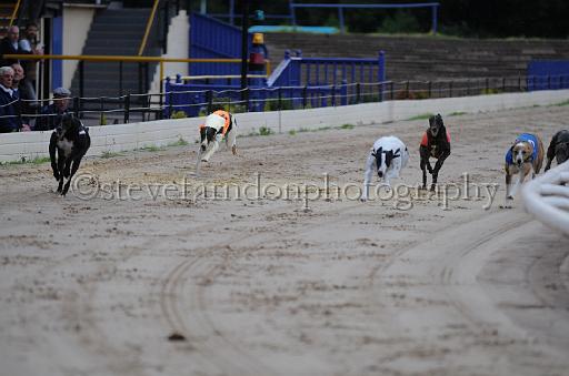 dogsaug2_0046.jpg - (C)S.FARNDON