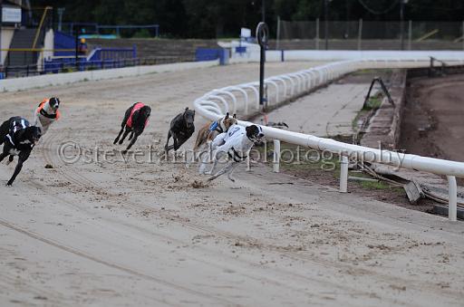 dogsaug2_0047.jpg - (C)S.FARNDON