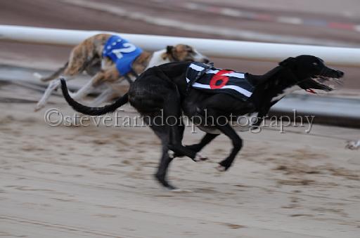 dogsaug2_0050.jpg - (C)S.FARNDON