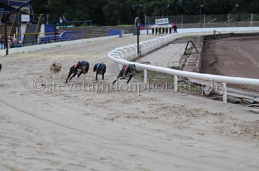 dogsaug2_0053.jpg - (C)S.FARNDON