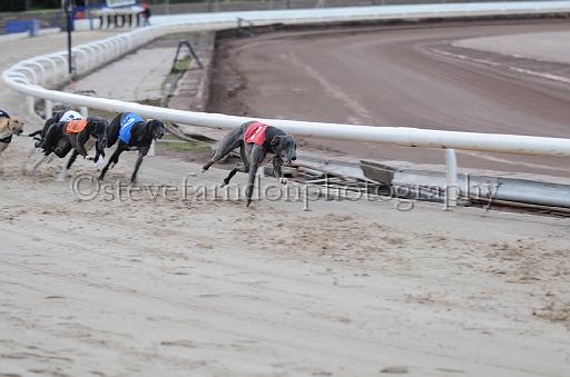 dogsaug2_0055.jpg - (C)S.FARNDON