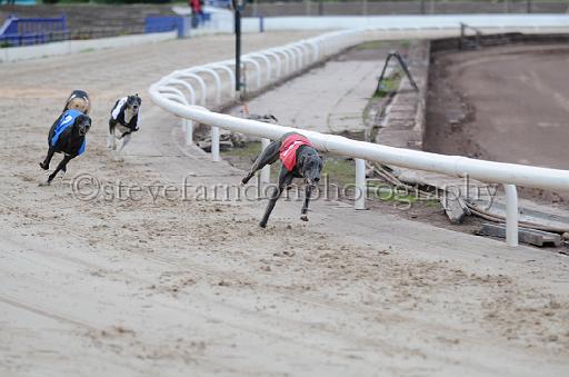 dogsaug2_0061.jpg - (C)S.FARNDON