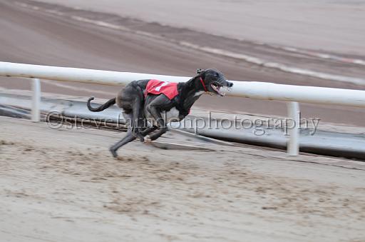 dogsaug2_0064.jpg - (C)S.FARNDON