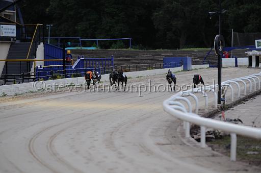 dogsaug2_0072.jpg - (C)S.FARNDON