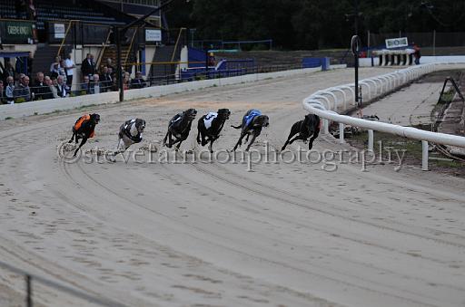 dogsaug2_0073.jpg - (C)S.FARNDON