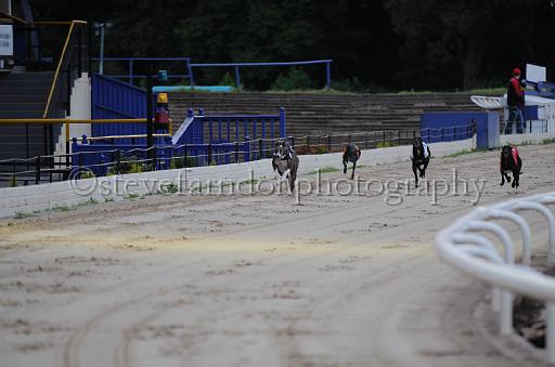 dogsaug2_0080.jpg - (C)S.FARNDON