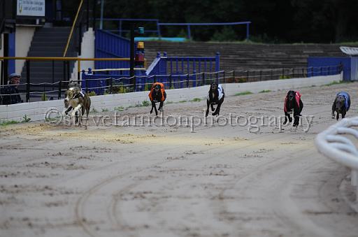 dogsaug2_0081.jpg - (C)S.FARNDON