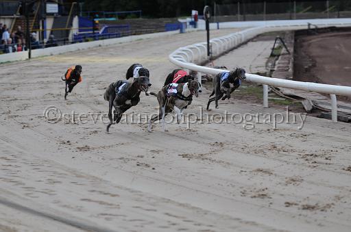 dogsaug2_0083.jpg - (C)S.FARNDON