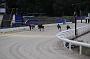 dogsaug2_0072