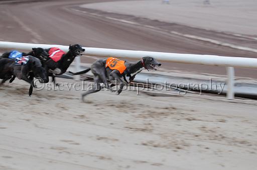 dogsaug8_0003.jpg - (C)S.FARNDON