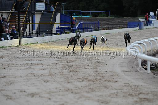 dogsaug8_0008.jpg - (C)S.FARNDON