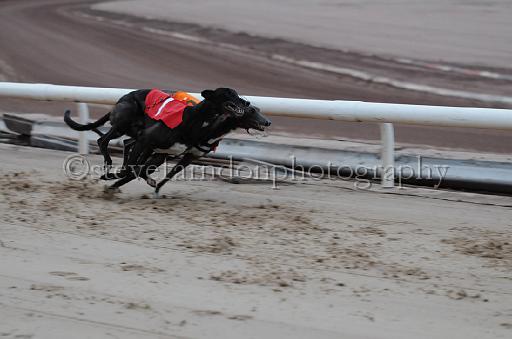 dogsaug8_0010.jpg - (C)S.FARNDON