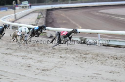 dogsaug8_0015.jpg - (C)S.FARNDON