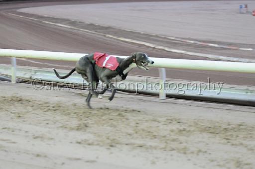dogsaug8_0021.jpg - (C)S.FARNDON
