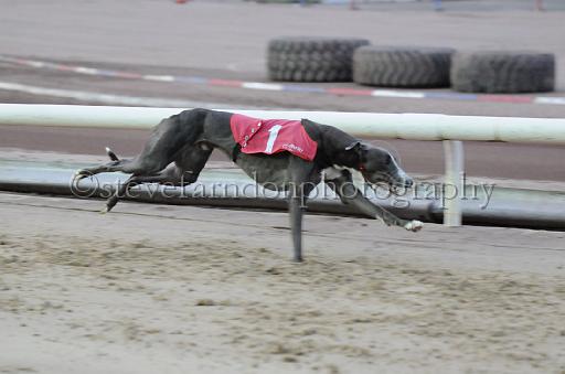dogsaug8_0022.jpg - (C)S.FARNDON