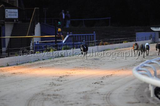 dogsaug8_0033.jpg - (C)S.FARNDON